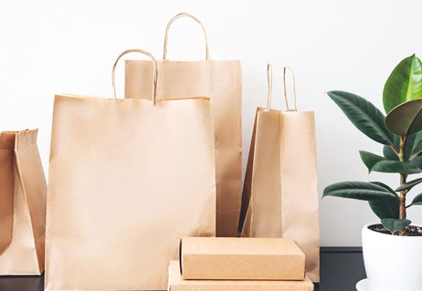 Paper Bags Products